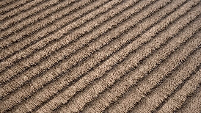 Thatched Roof Material Pack Vol 01 Texture 6