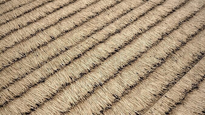 Thatched Roof Material Pack Vol 01 Texture 5
