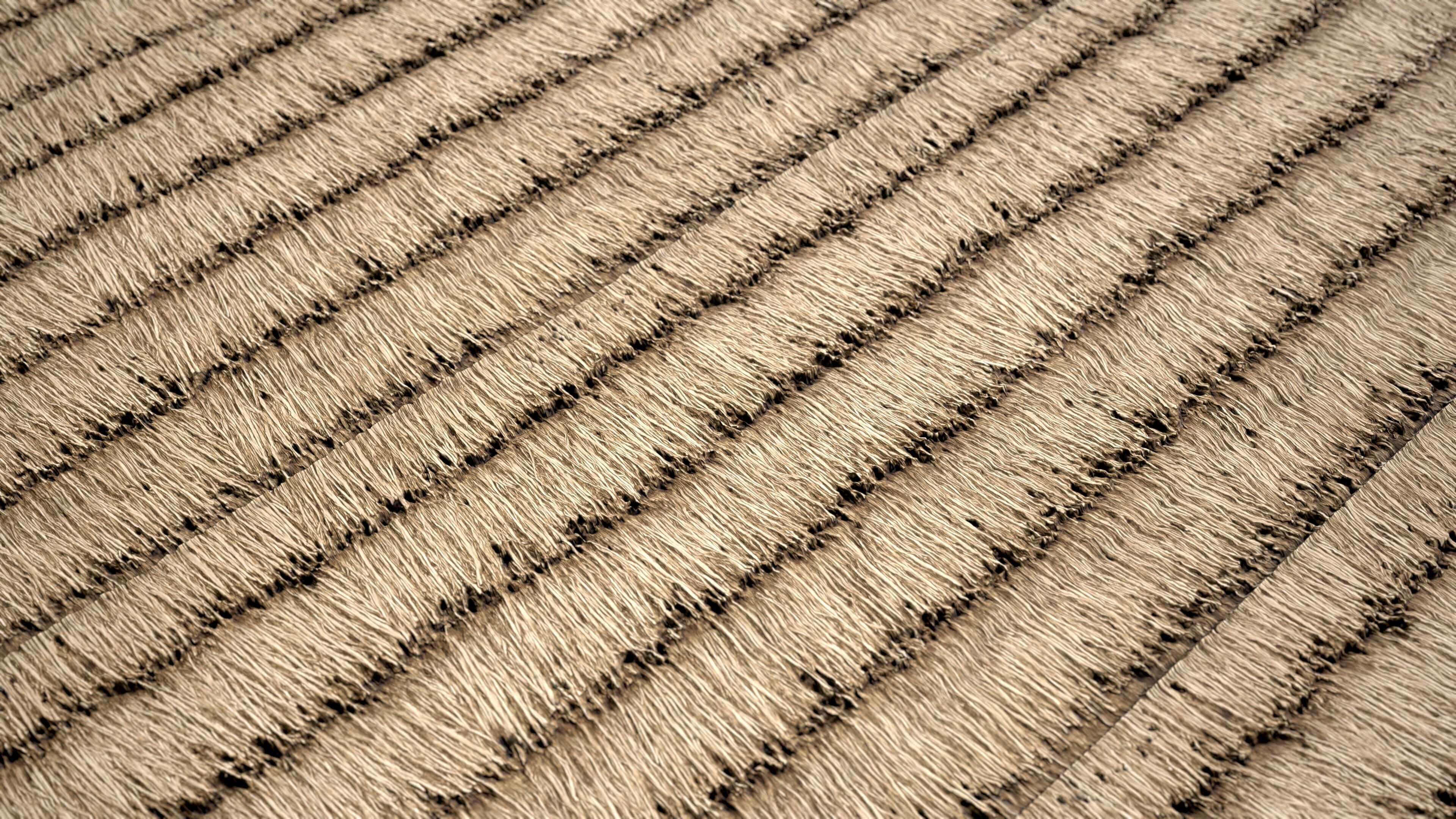 Thatched Roof Material Pack Vol 01 Texture_4
