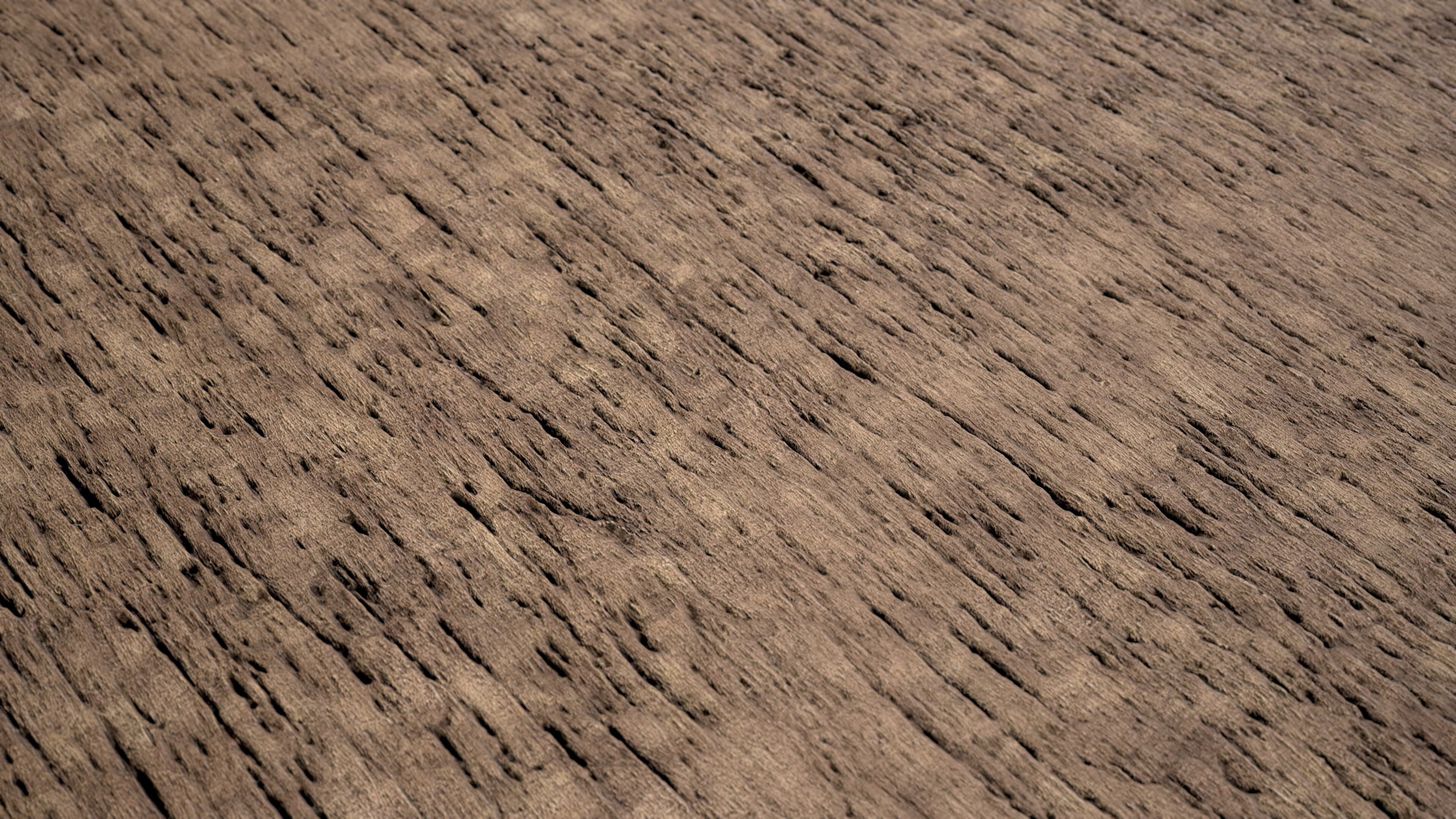 Thatched Roof Material Pack Vol 01 Texture_1