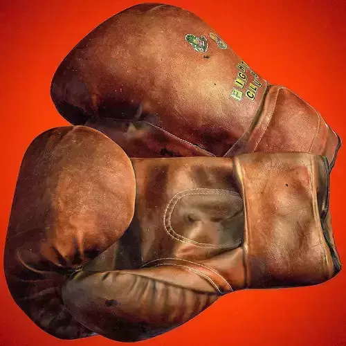 Vintage Boxing Gloves