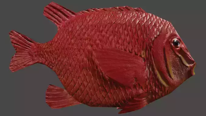 Disneyland Submarine Ride Prop - Red Fish Free low-poly 3D model