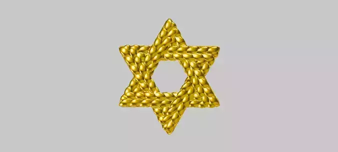 Star of David 29mm Diameter Rope Weave 3D print model