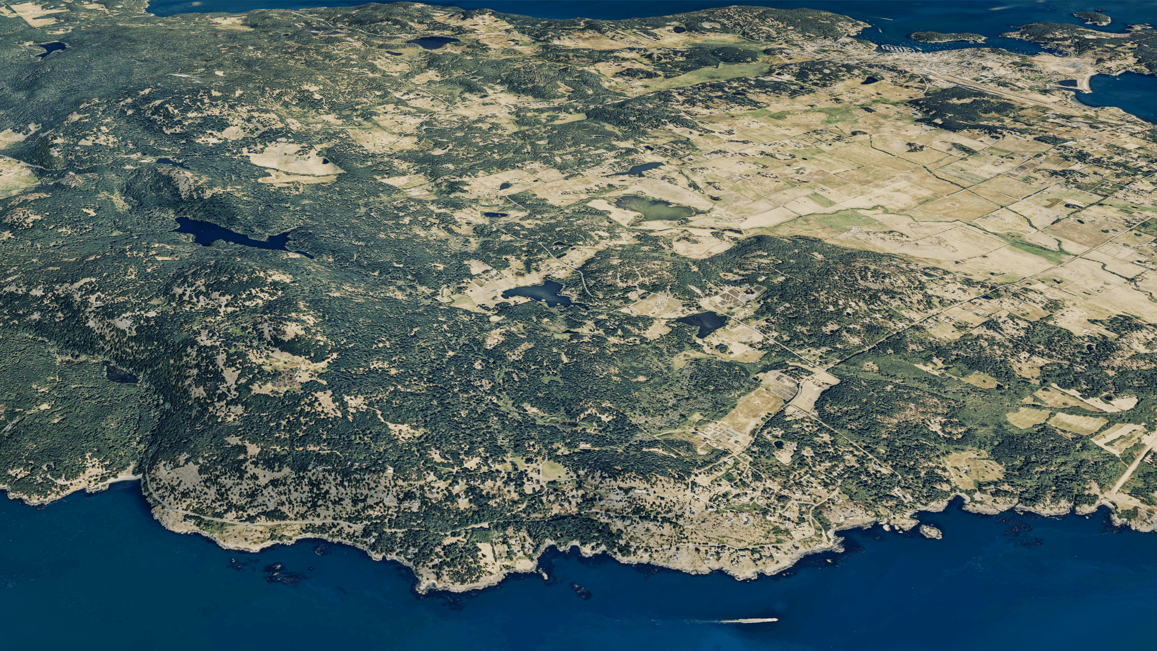 san juan island full 3d model terrain Low-poly 3D model_3