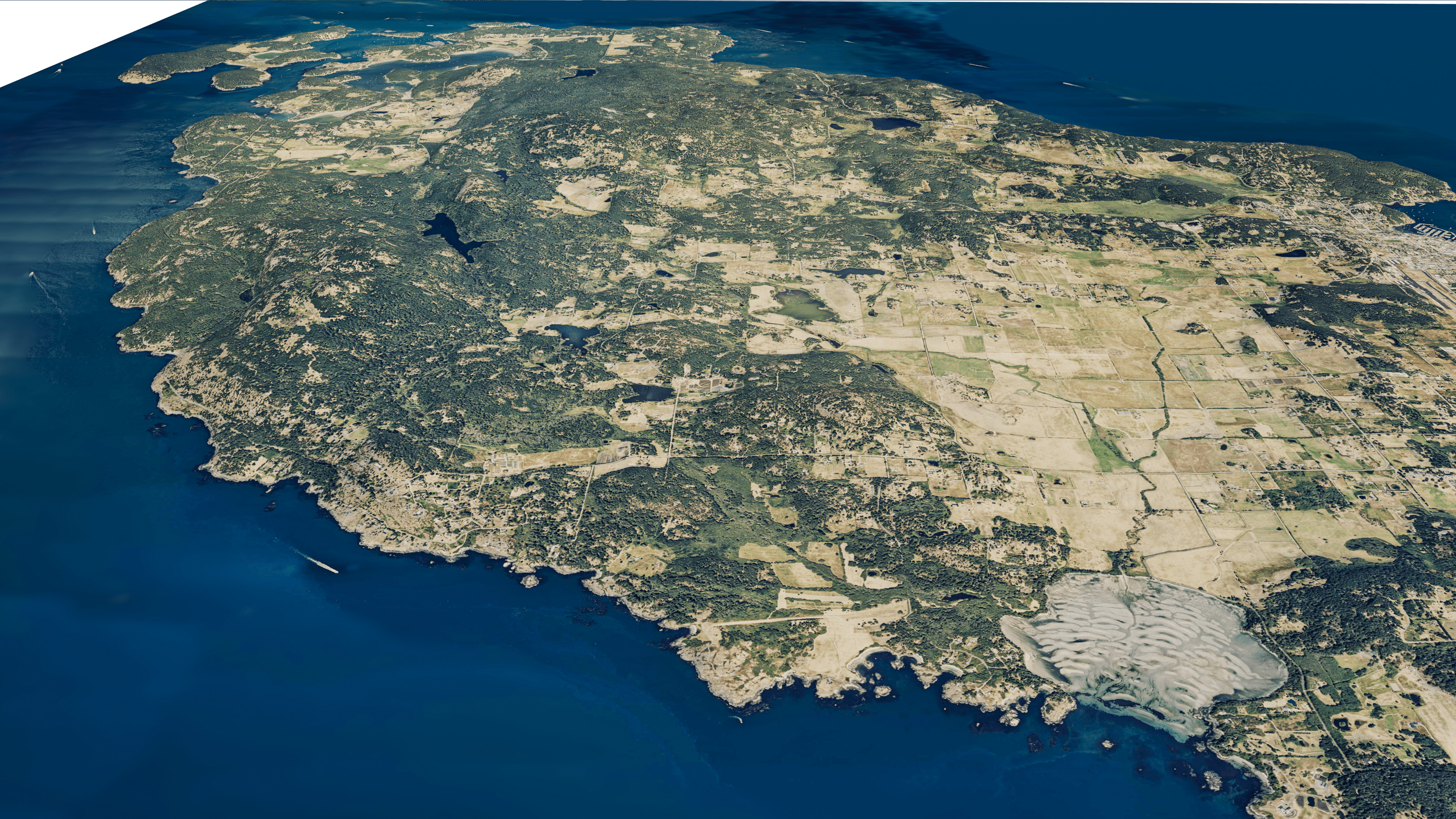 san juan island full 3d model terrain Low-poly 3D model_5