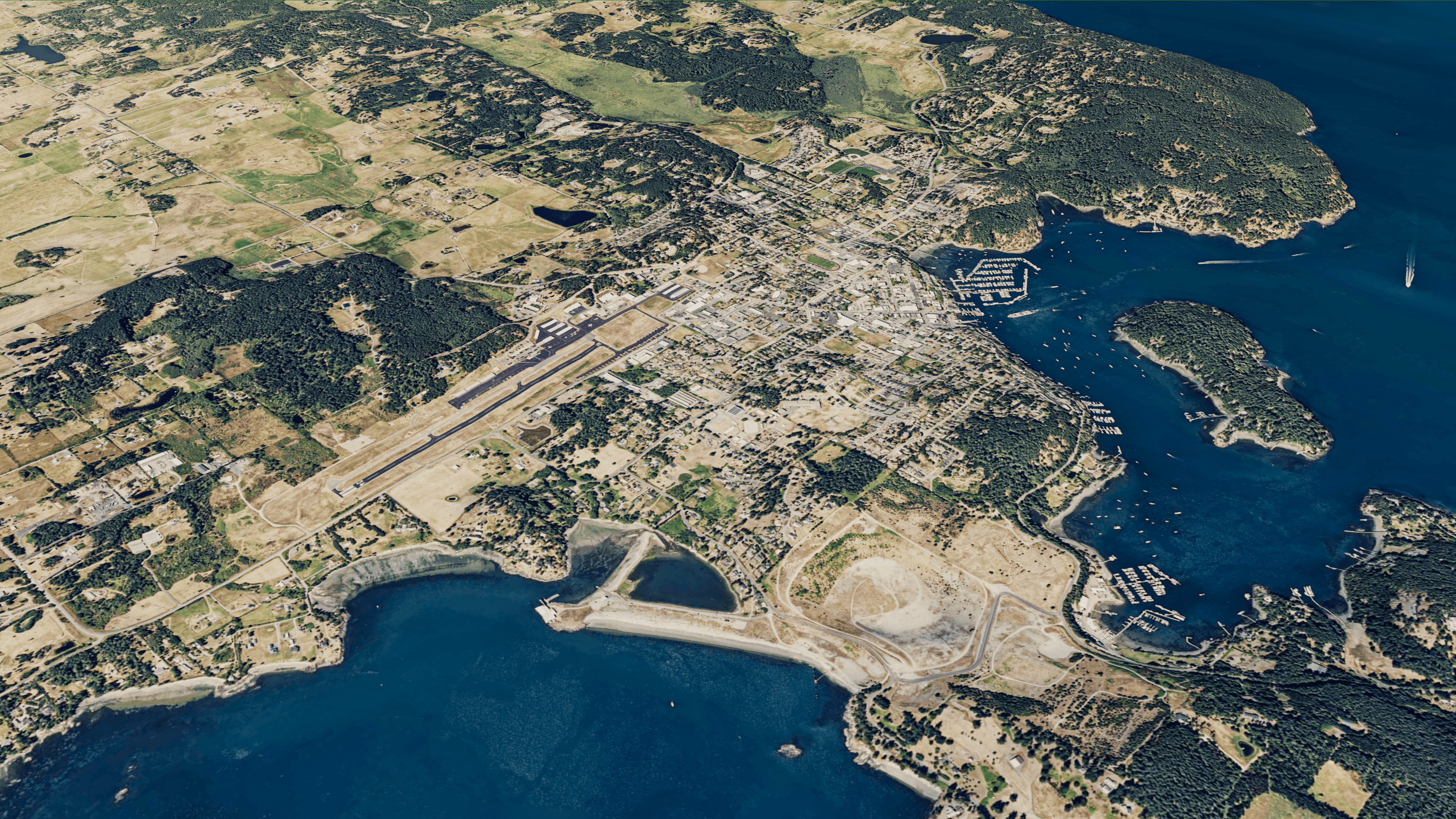 san juan island full 3d model terrain Low-poly 3D model_9