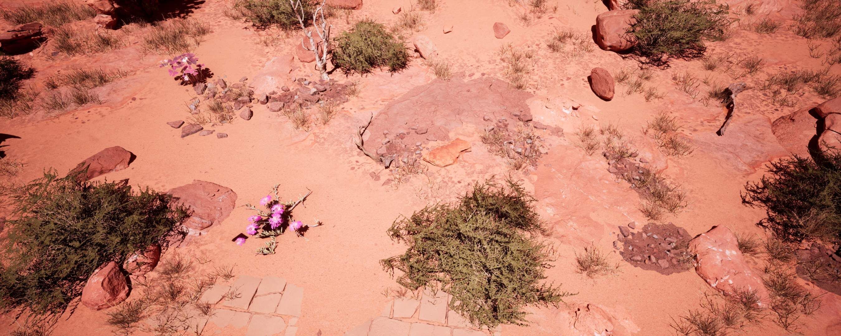 Ancient Roman Environment 3D model_5