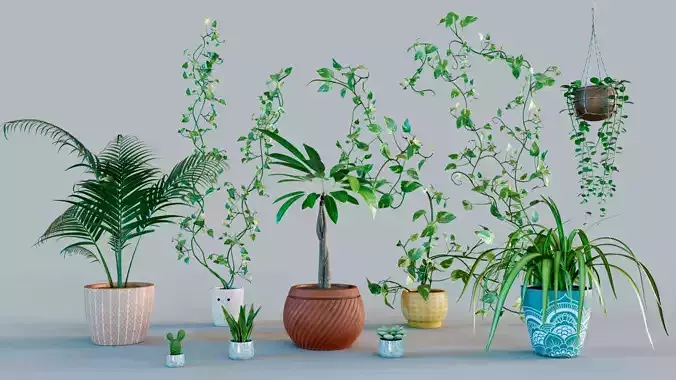Plant Set Vol 01 - MAYA Low-poly 3D model