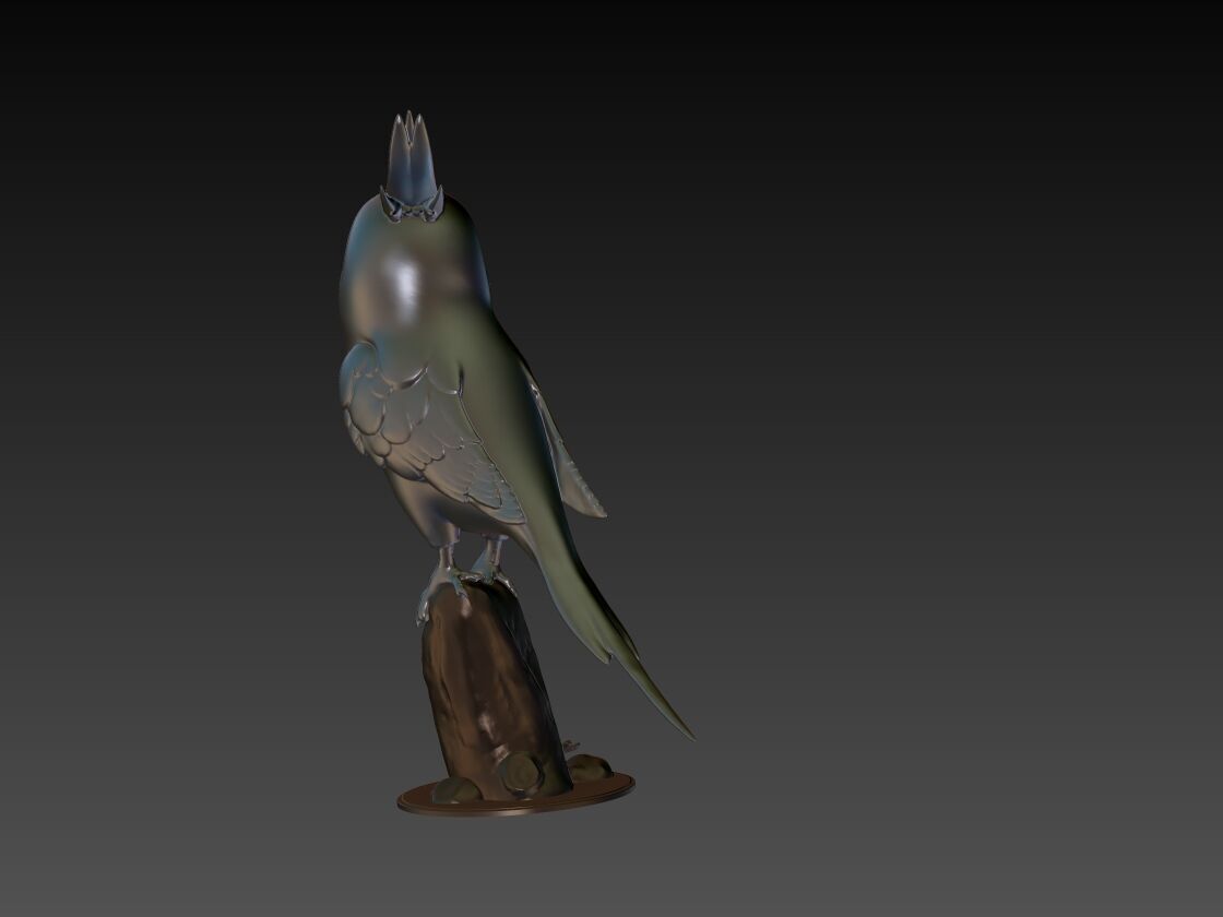 Cockatiel 3D Model 3D print model_2