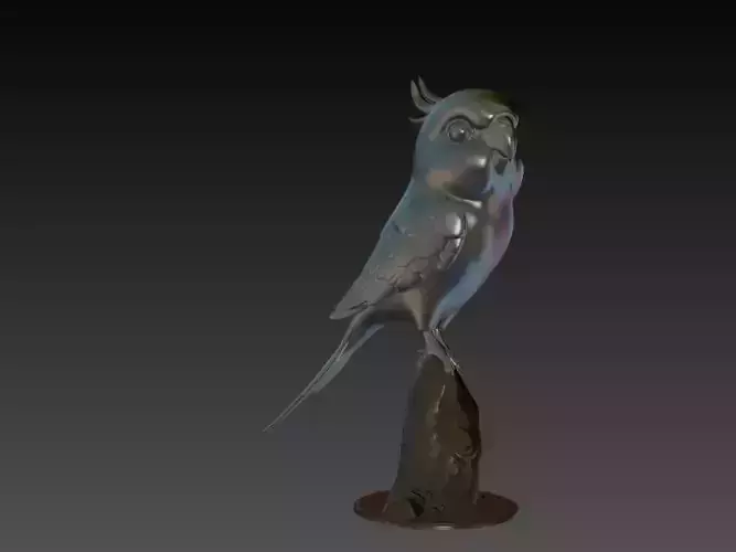 Cockatiel 3D Model
