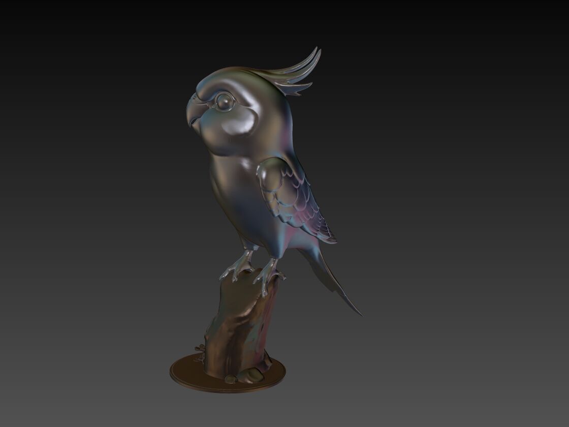 Cockatiel 3D Model 3D print model_3