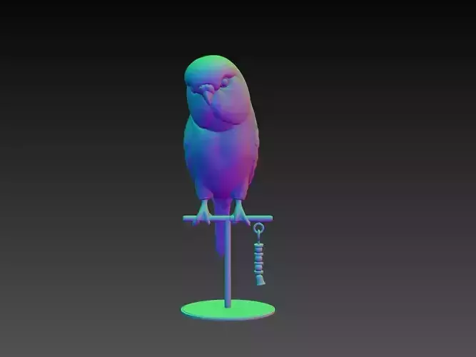 Budgie 3D Model
