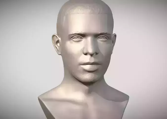 Drake bust 3D print model