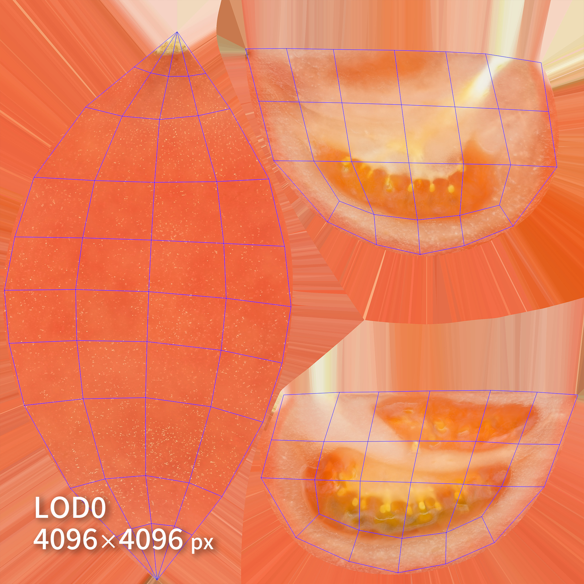 Cut Tomatoes 3D model quarters Low-poly 3D model_8