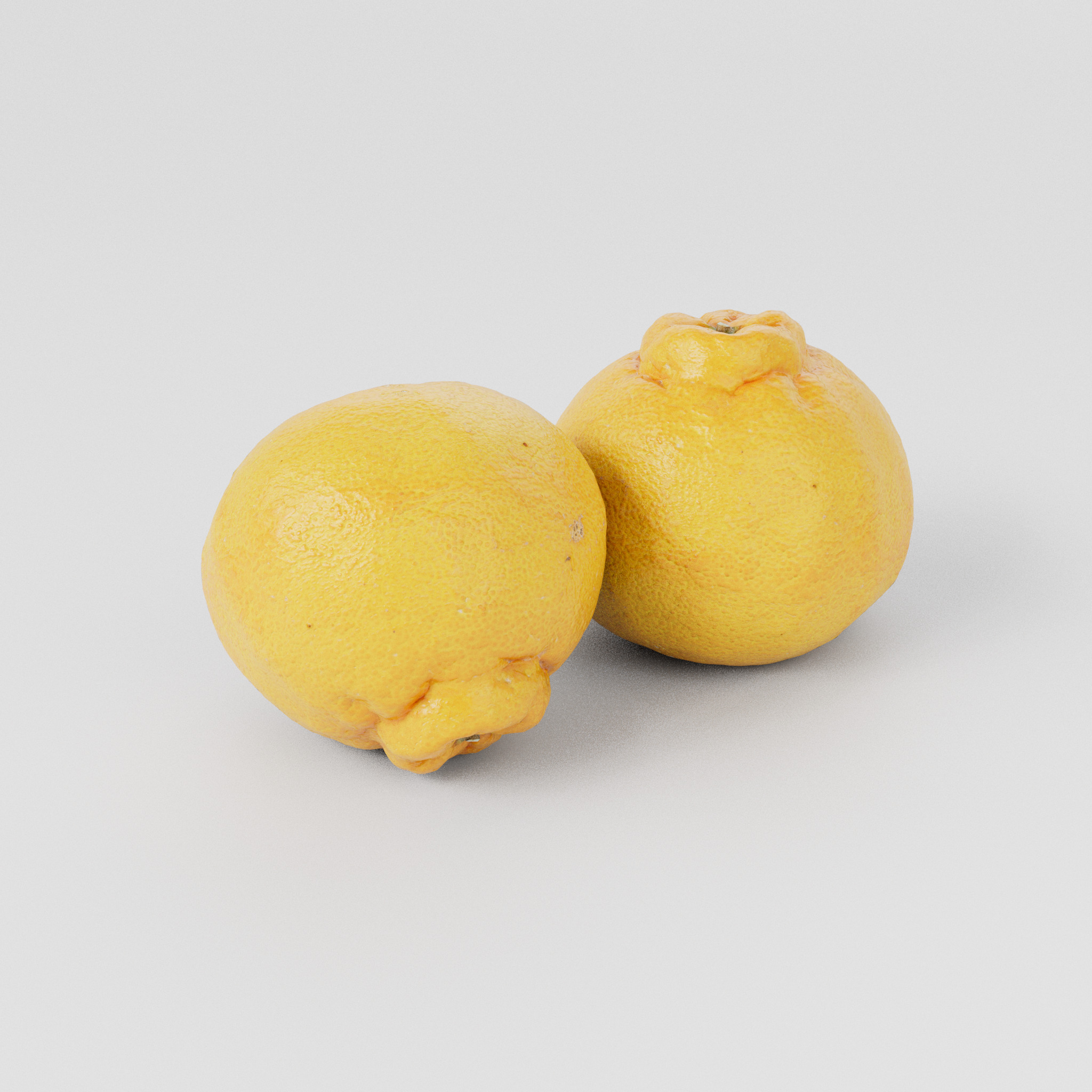 Sumo Citrus 3D model Low-poly 3D model_7