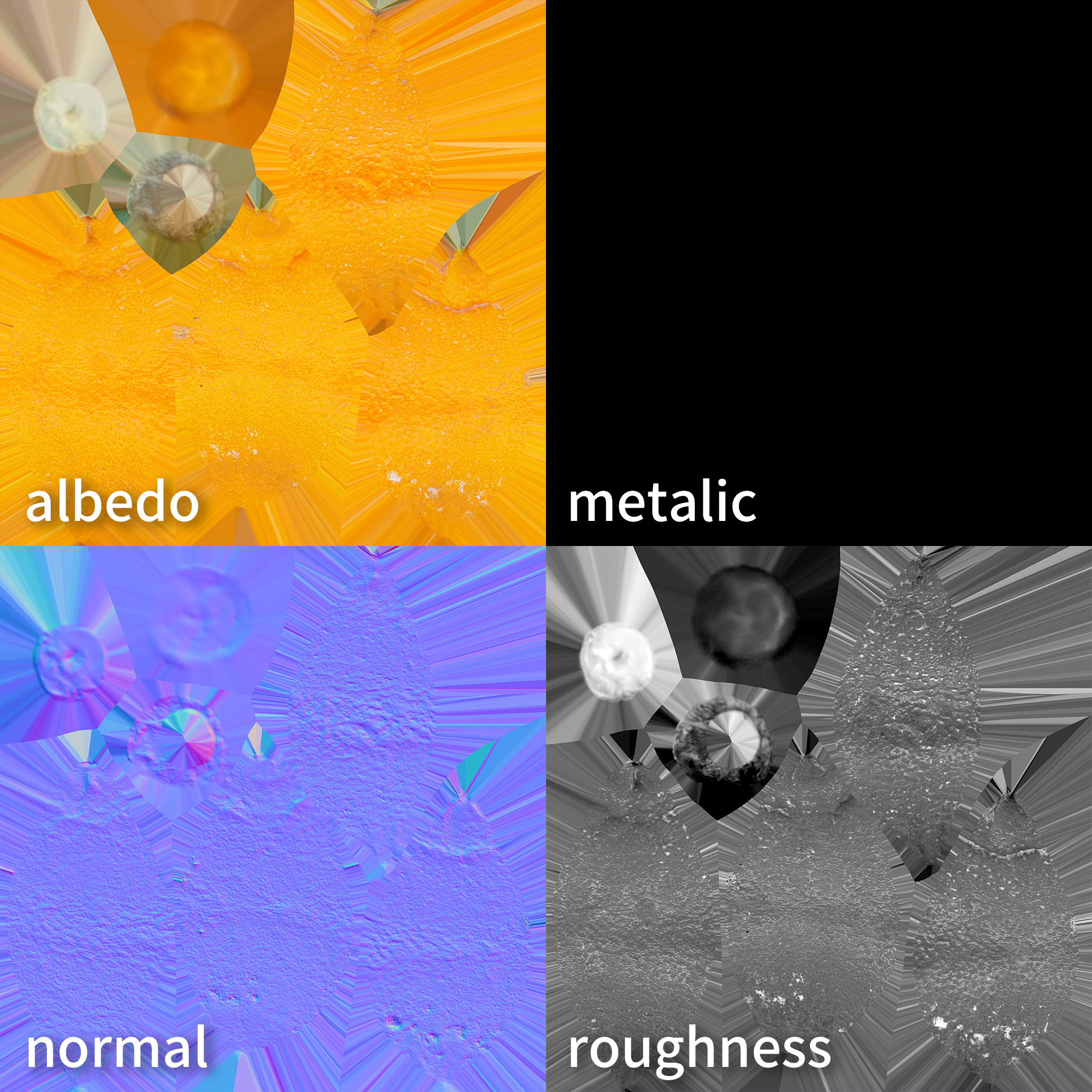 Sumo Citrus 3D model Low-poly 3D model_10