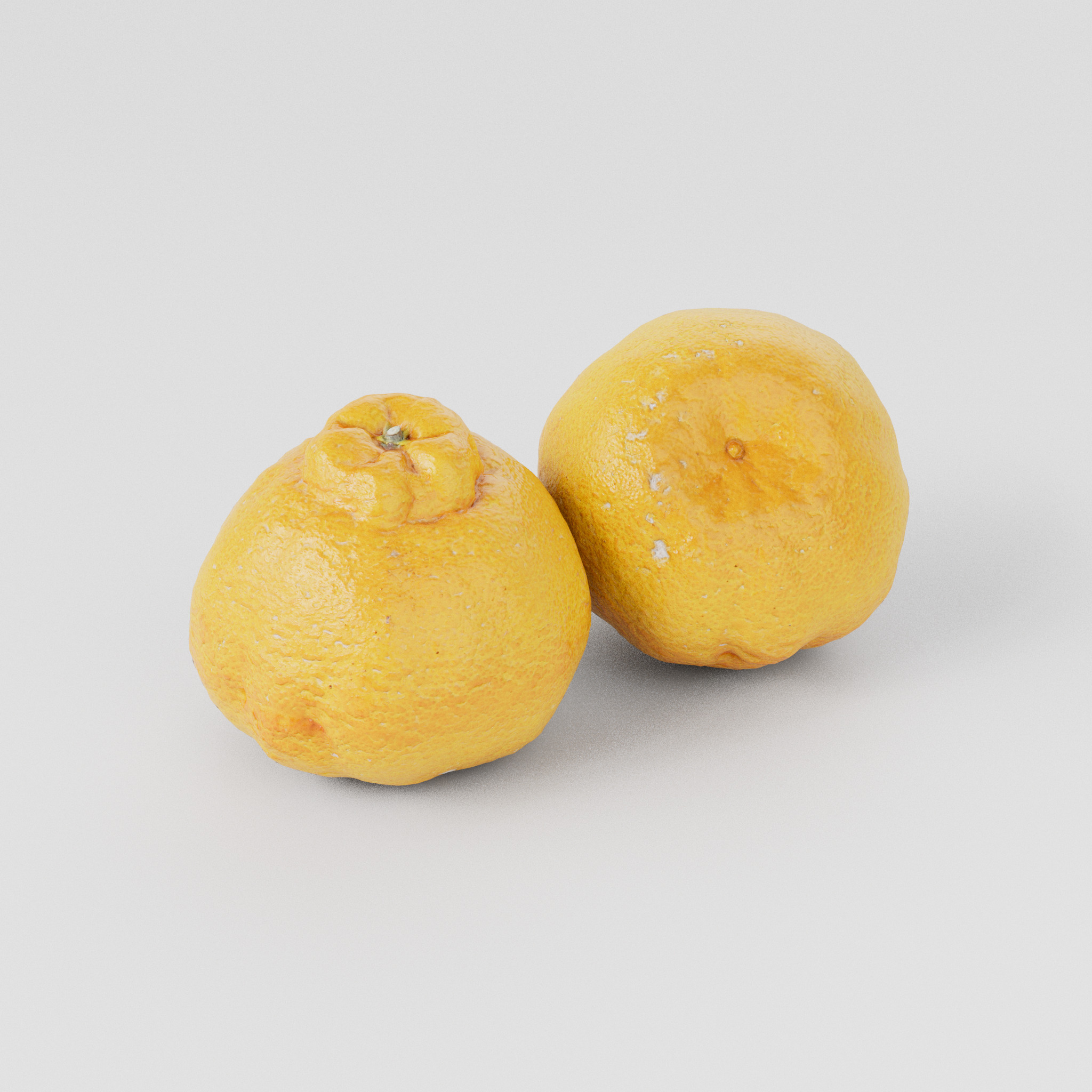 Sumo Citrus 3D model Low-poly 3D model_6