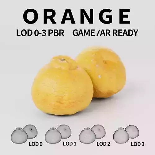 Sumo Citrus 3D model