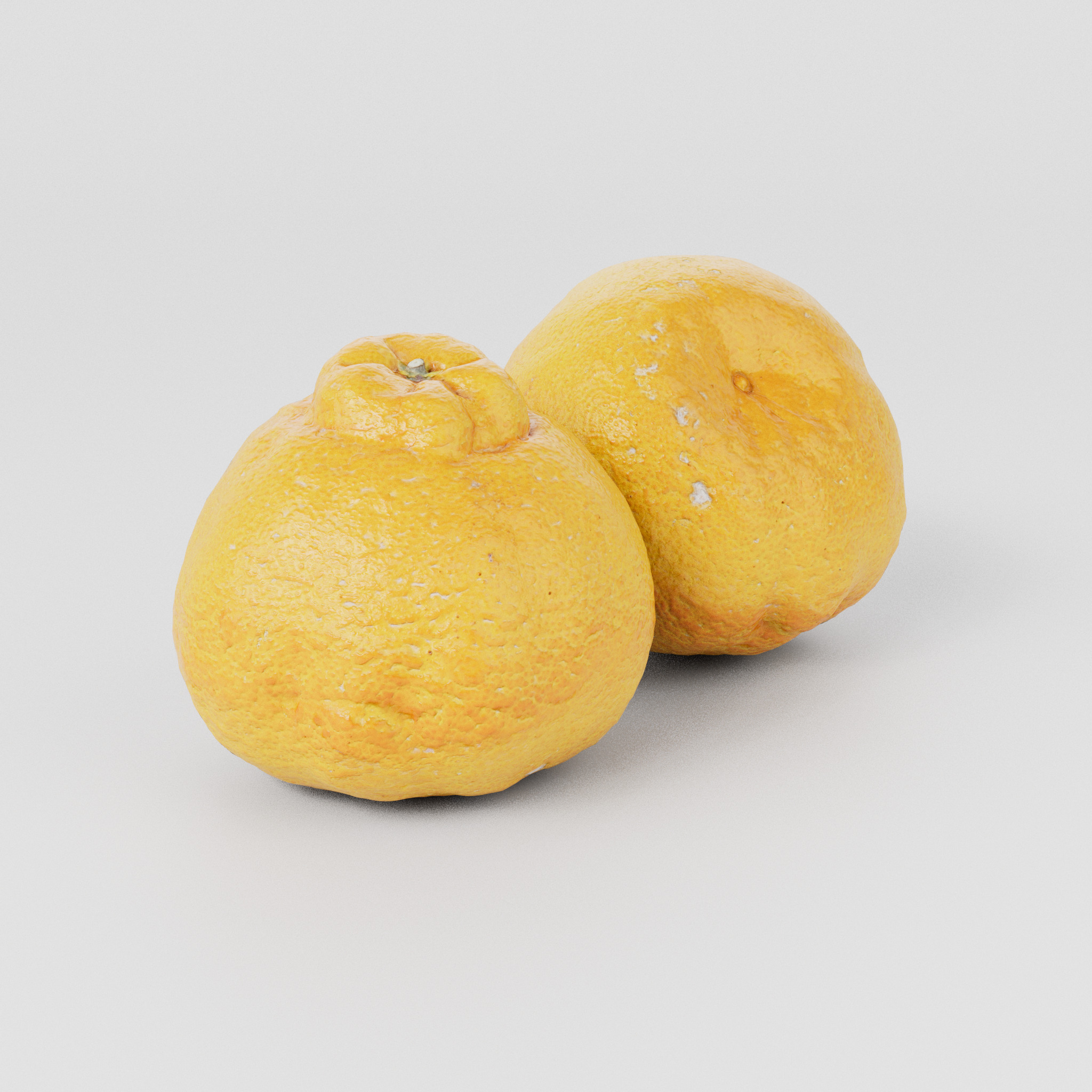 Sumo Citrus 3D model Low-poly 3D model_1