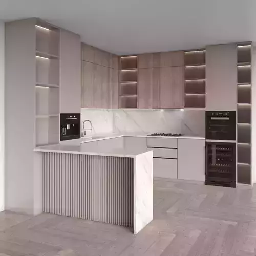Modern Kitchen 111