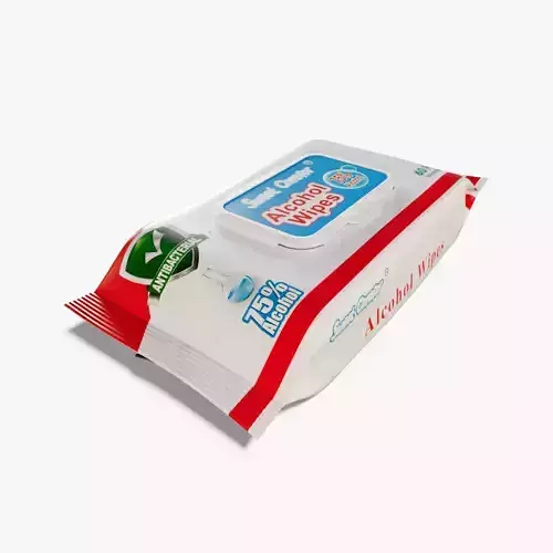 Wet Wipes Package 3D model