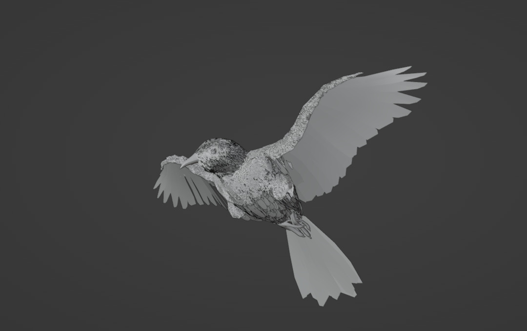 CHOQUARD A BEC JAUNE -  3D MODEL 3D model_2