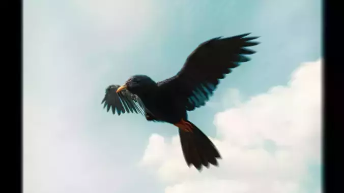 CHOQUARD A BEC JAUNE -  3D MODEL