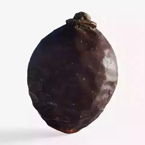 Scanned rose hip berry