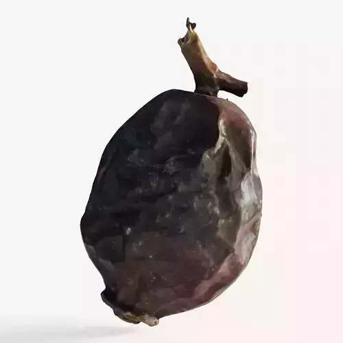 Scanned rose hip berry 