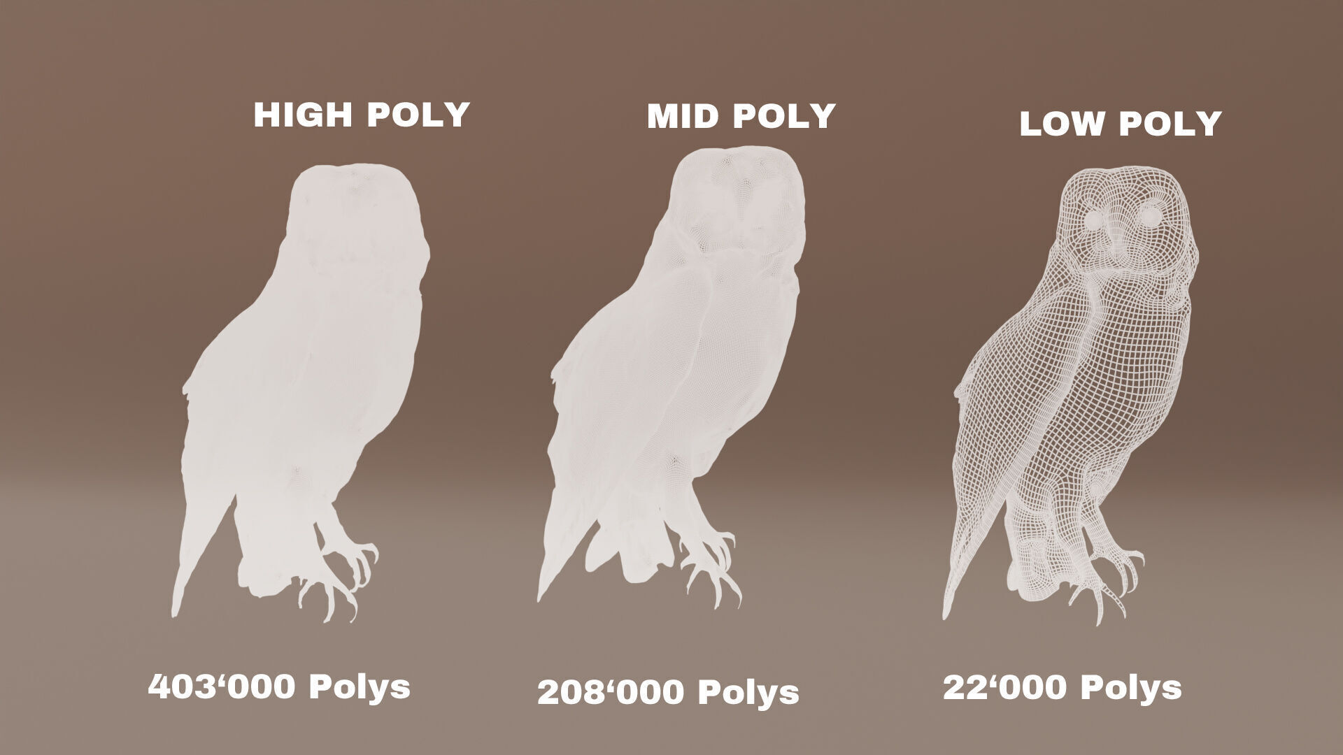 Photorealistic Barn Owl Low-poly 3D model_11
