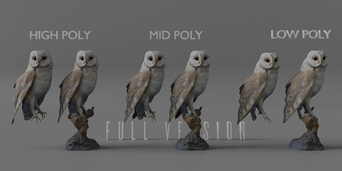 Photorealistic Barn Owl Low-poly 3D model_14