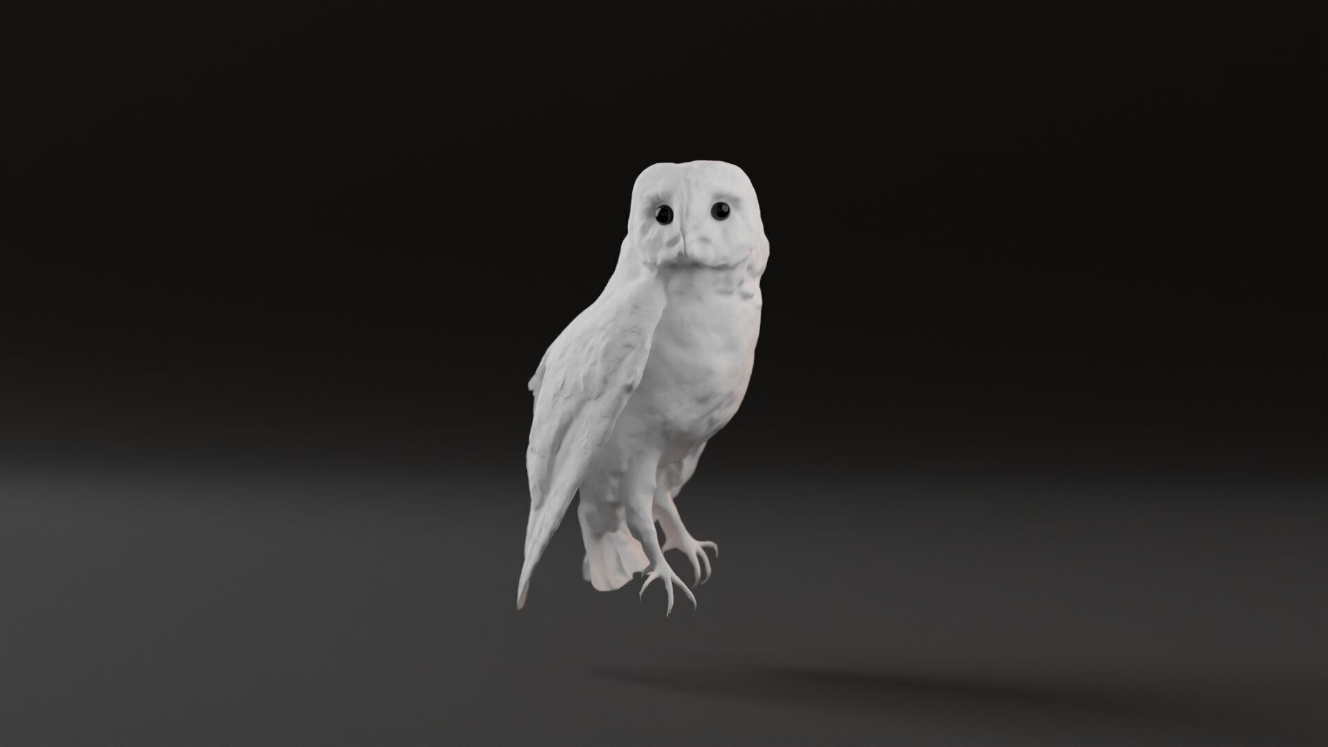 Photorealistic Barn Owl Low-poly 3D model_2