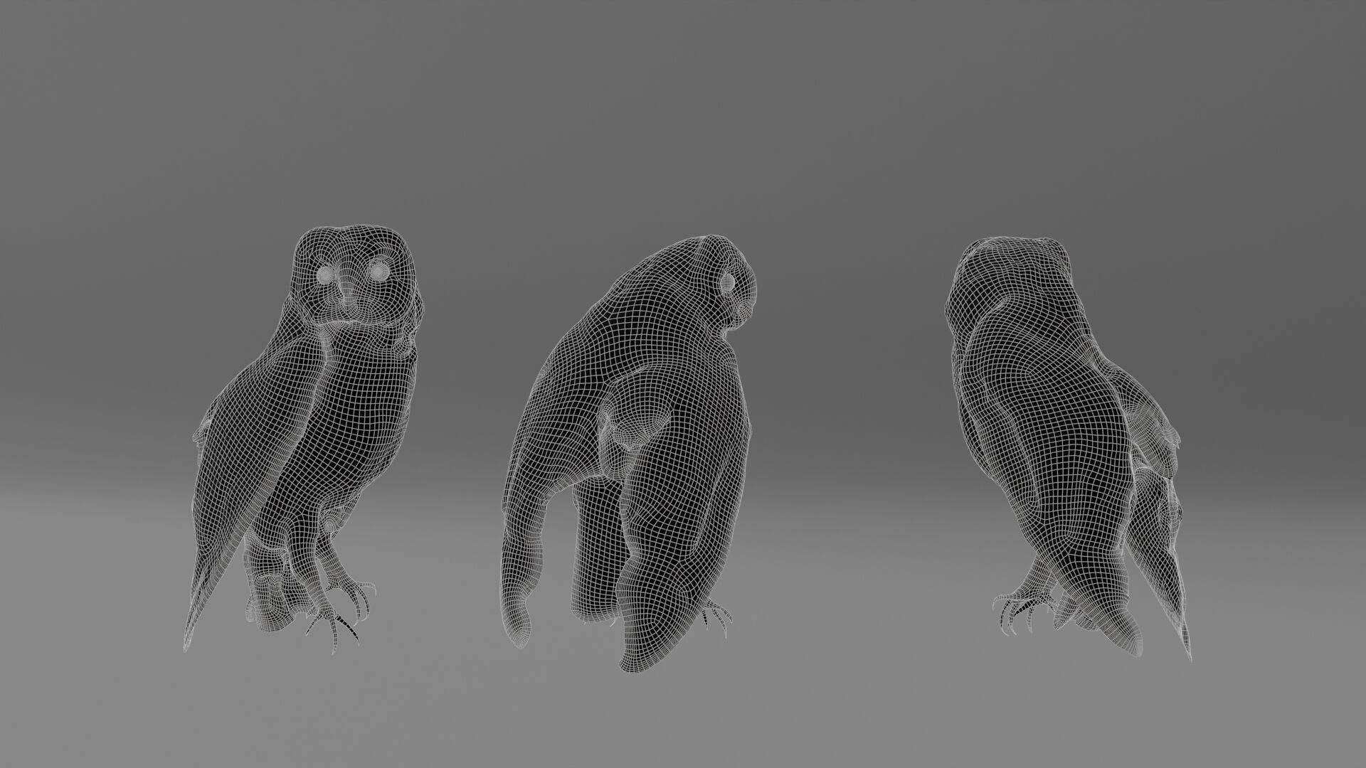 Photorealistic Barn Owl Low-poly 3D model_5