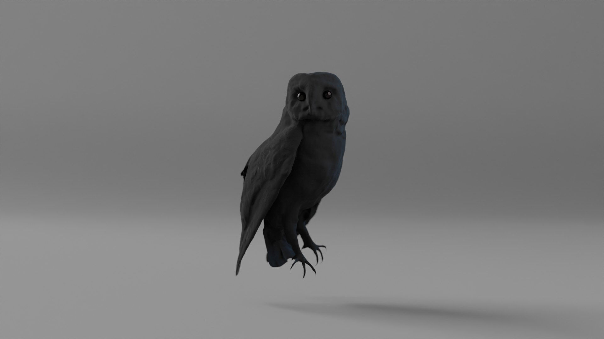Photorealistic Barn Owl Low-poly 3D model_12