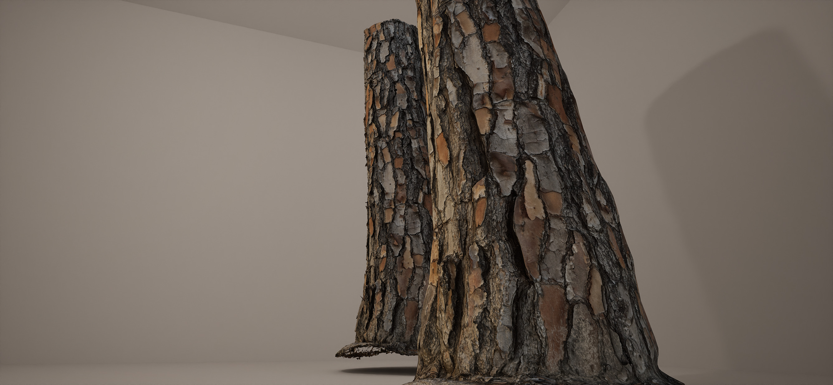 Pine Trunk 16k RAW Scan Low-poly 3D model_2