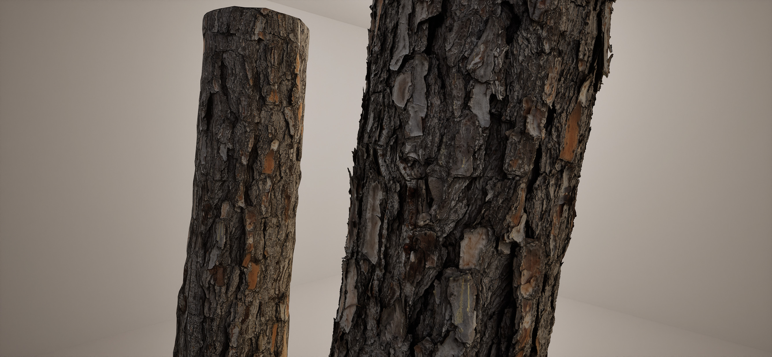 Pine Trunk 16k RAW Scan Low-poly 3D model_4