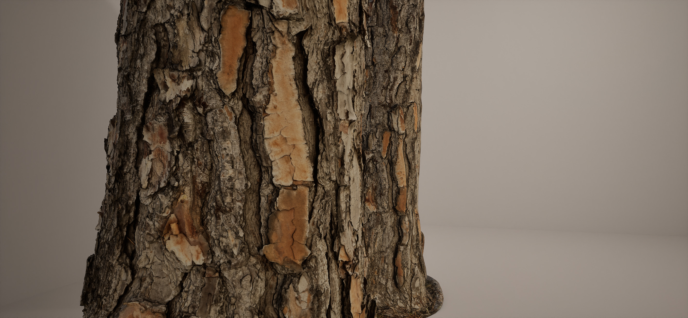 Pine Trunk 16k RAW Scan Low-poly 3D model_1