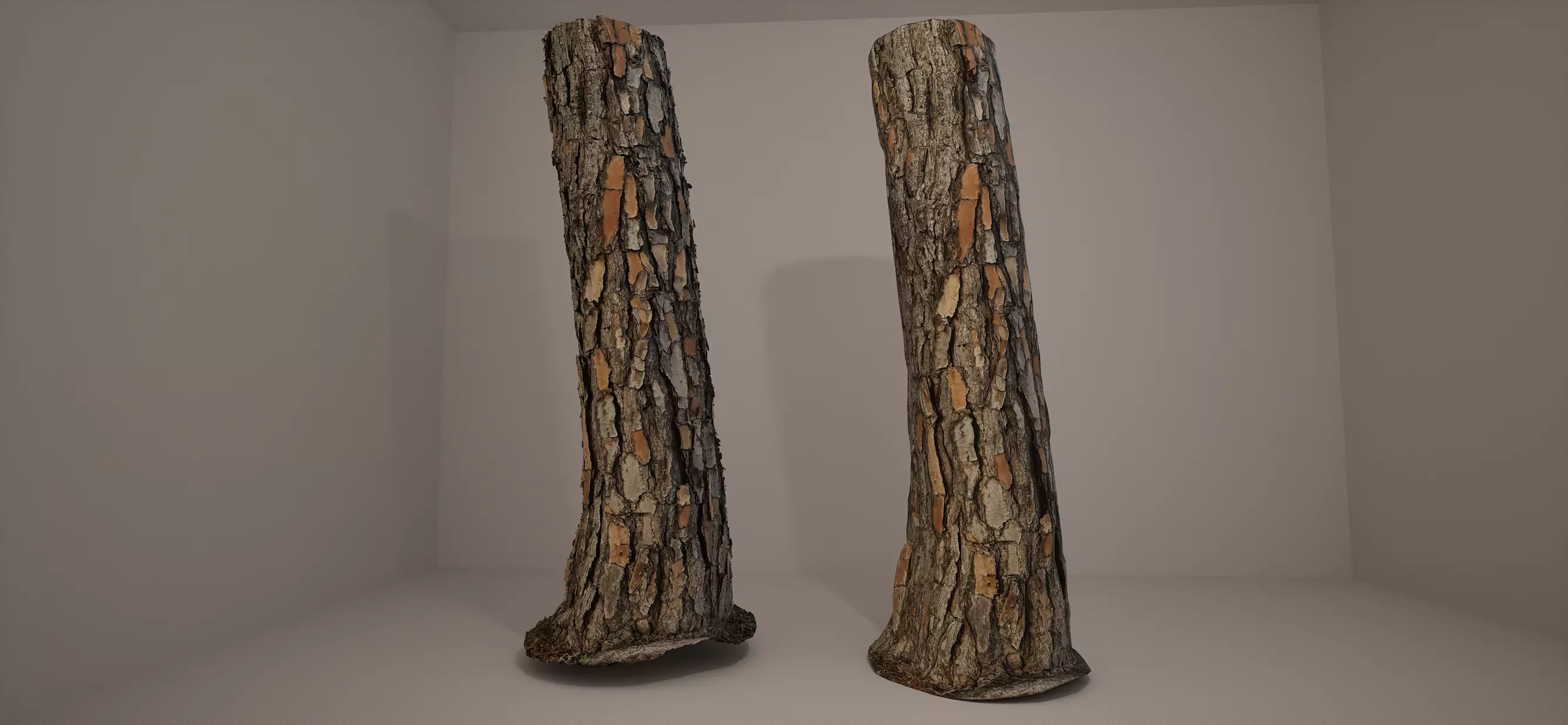 Pine Trunk 16k RAW Scan Low-poly 3D model_0