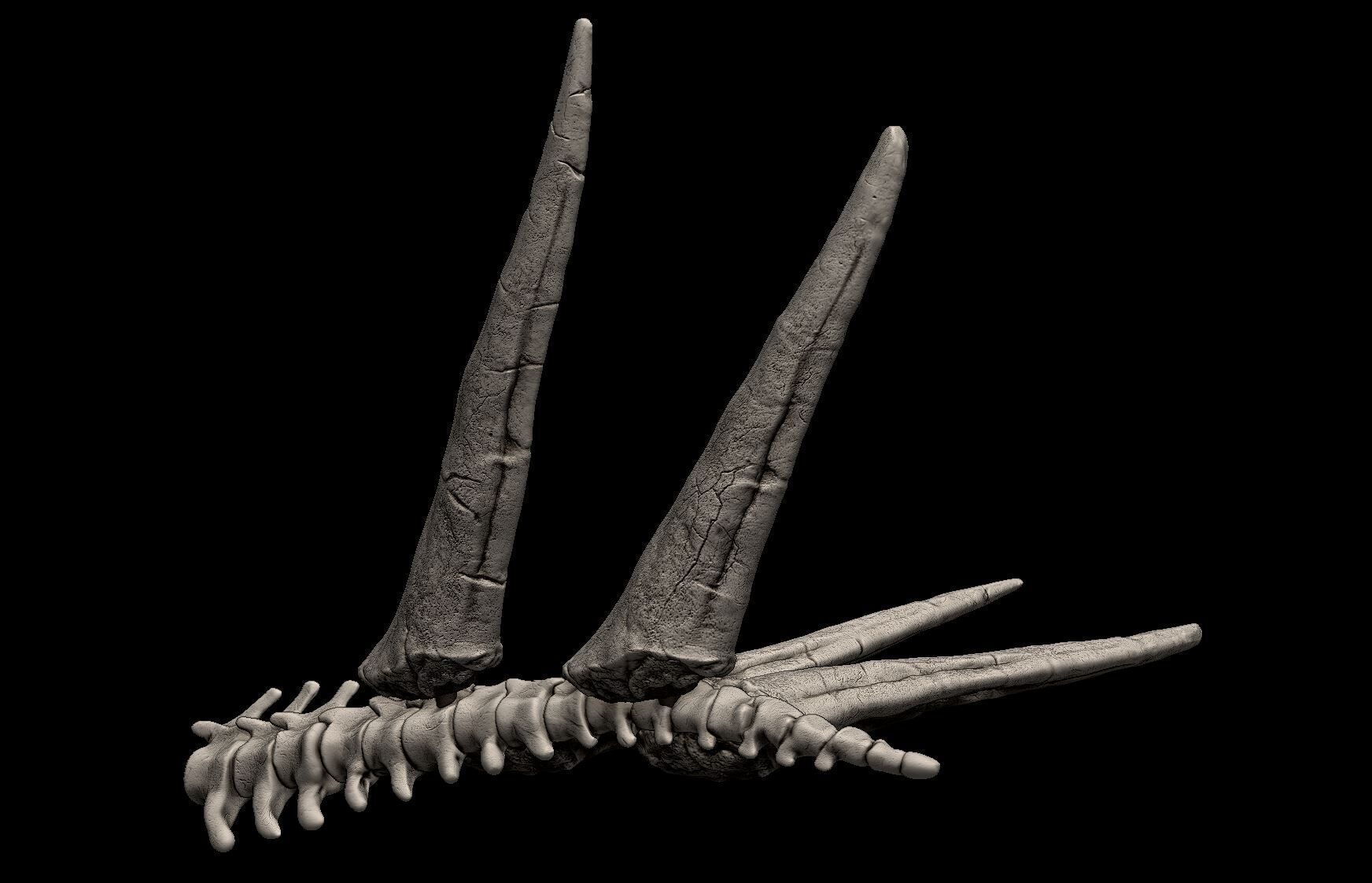 Stegosaurus Tail Bones 3D print model_5