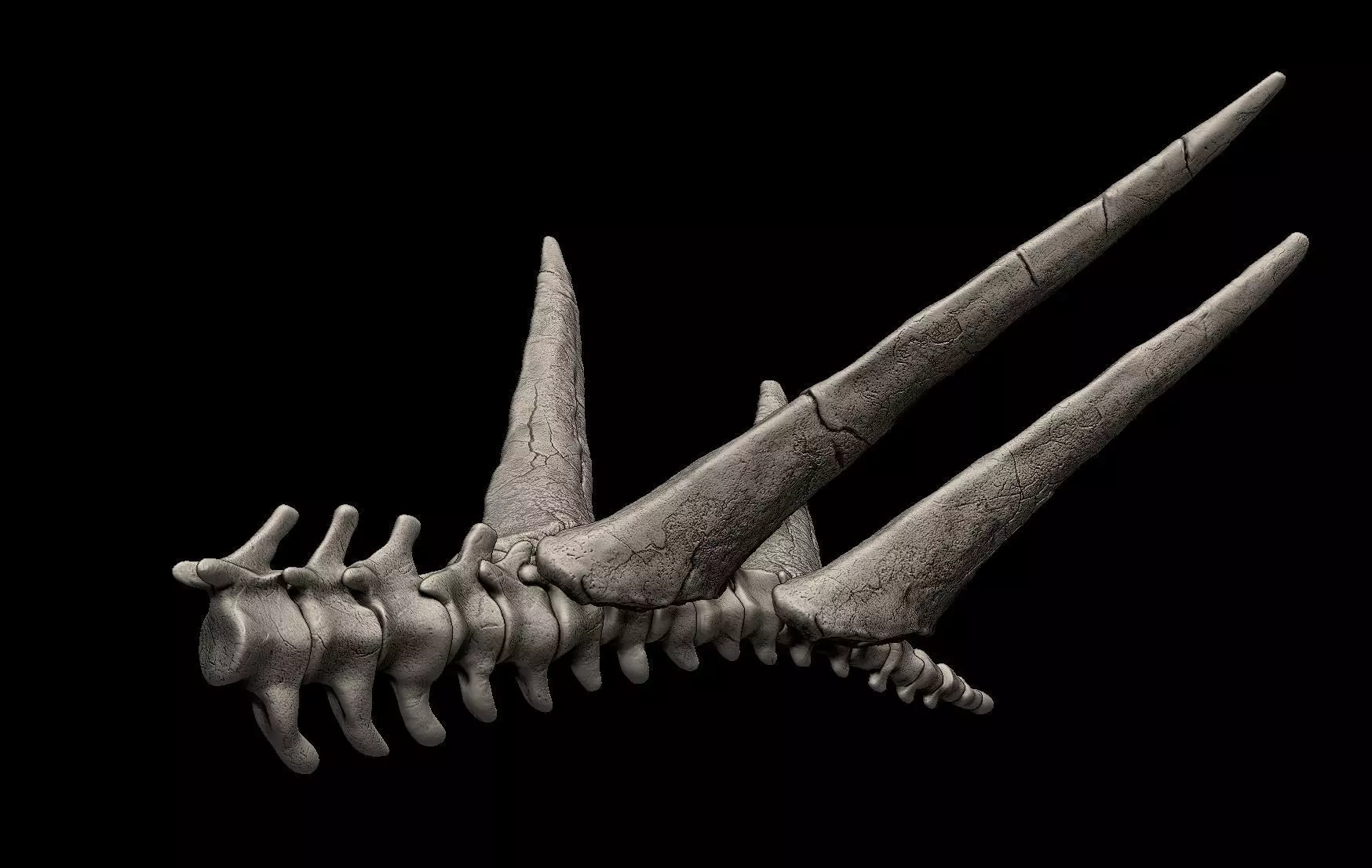 Stegosaurus Tail Bones 3D print model_0