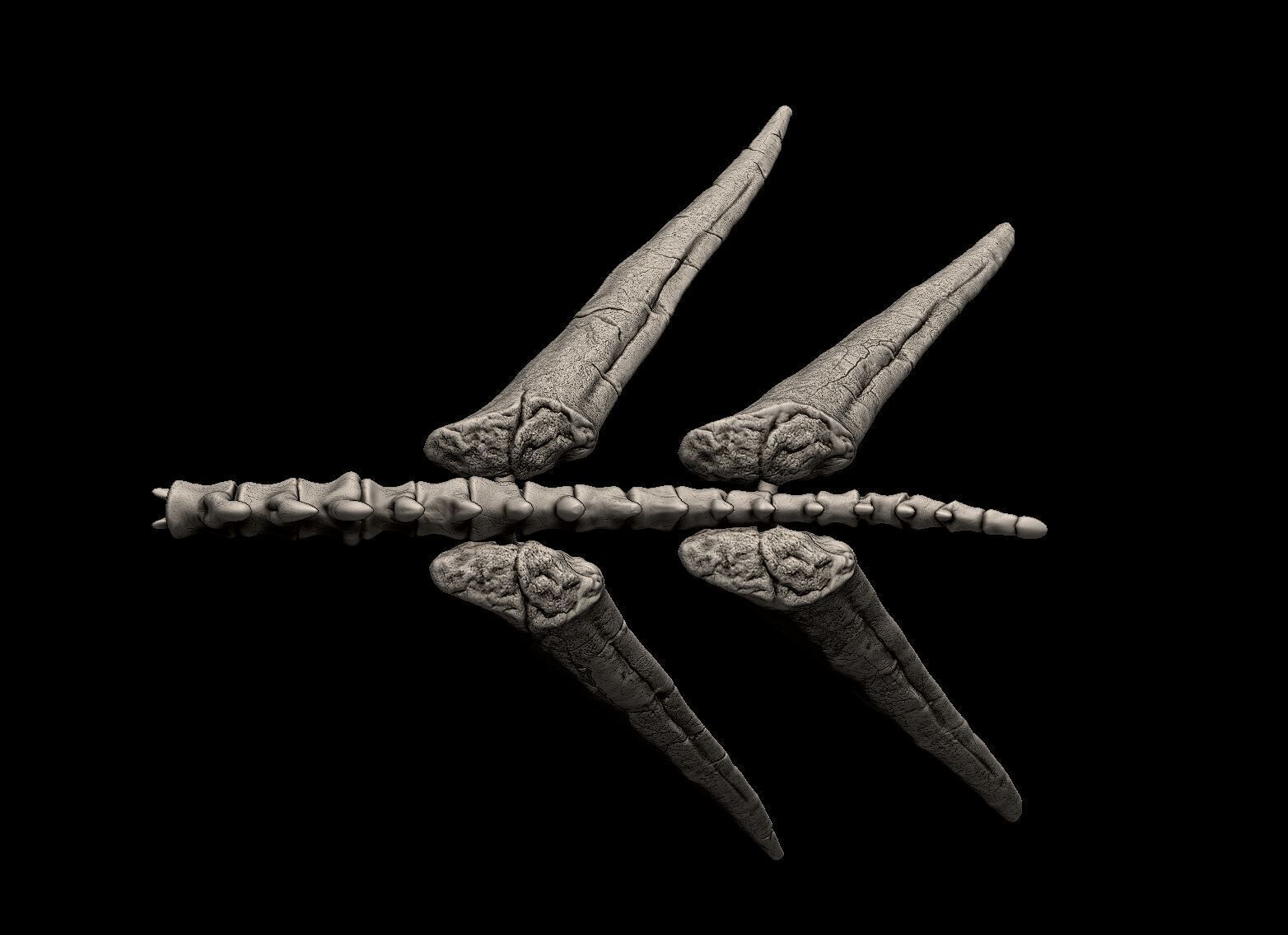 Stegosaurus Tail Bones 3D print model_4