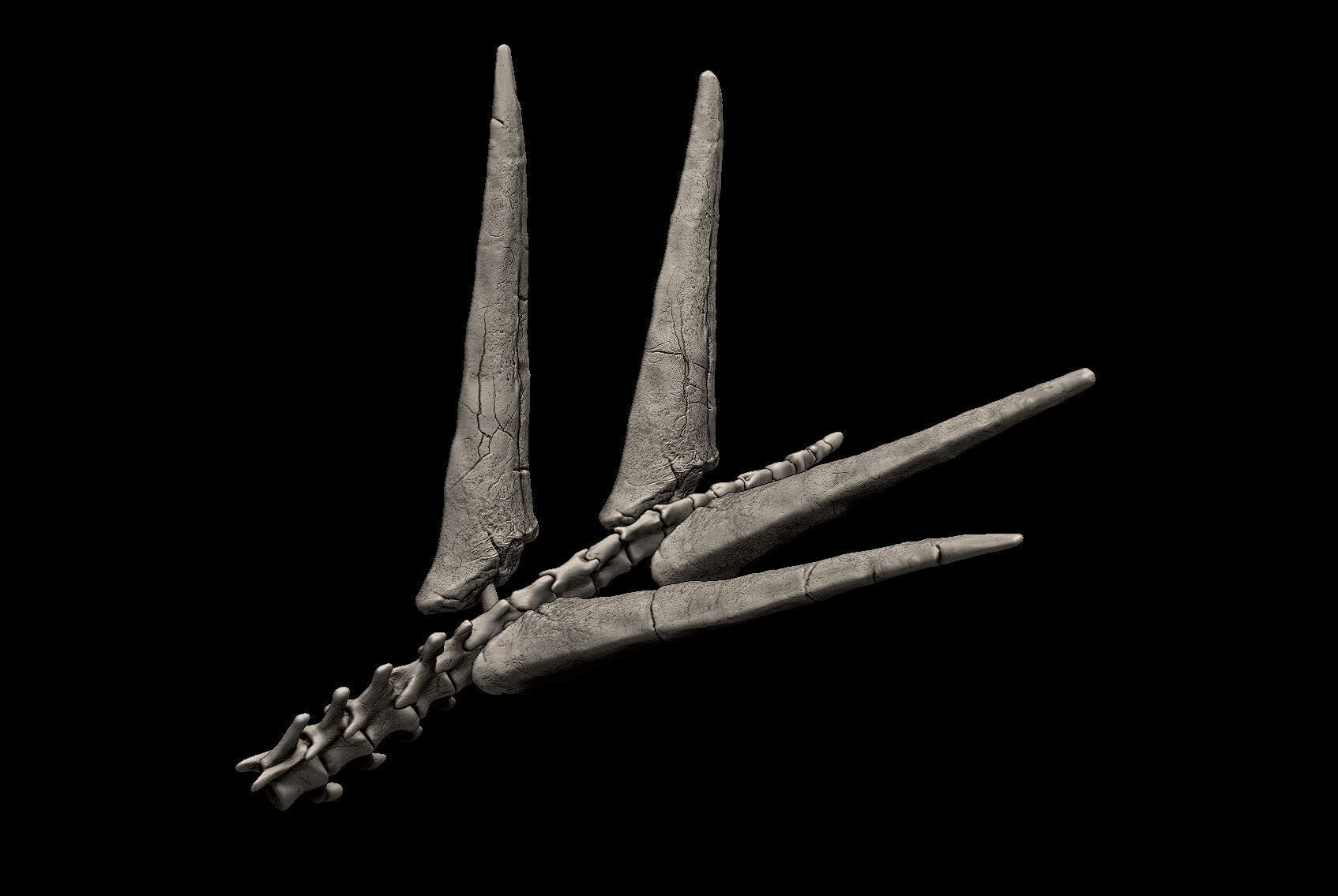 Stegosaurus Tail Bones 3D print model_2