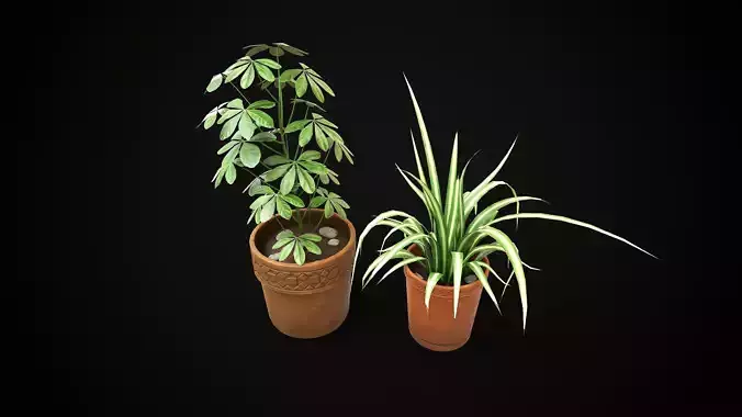 Potted Houseplants Low-poly 3D model