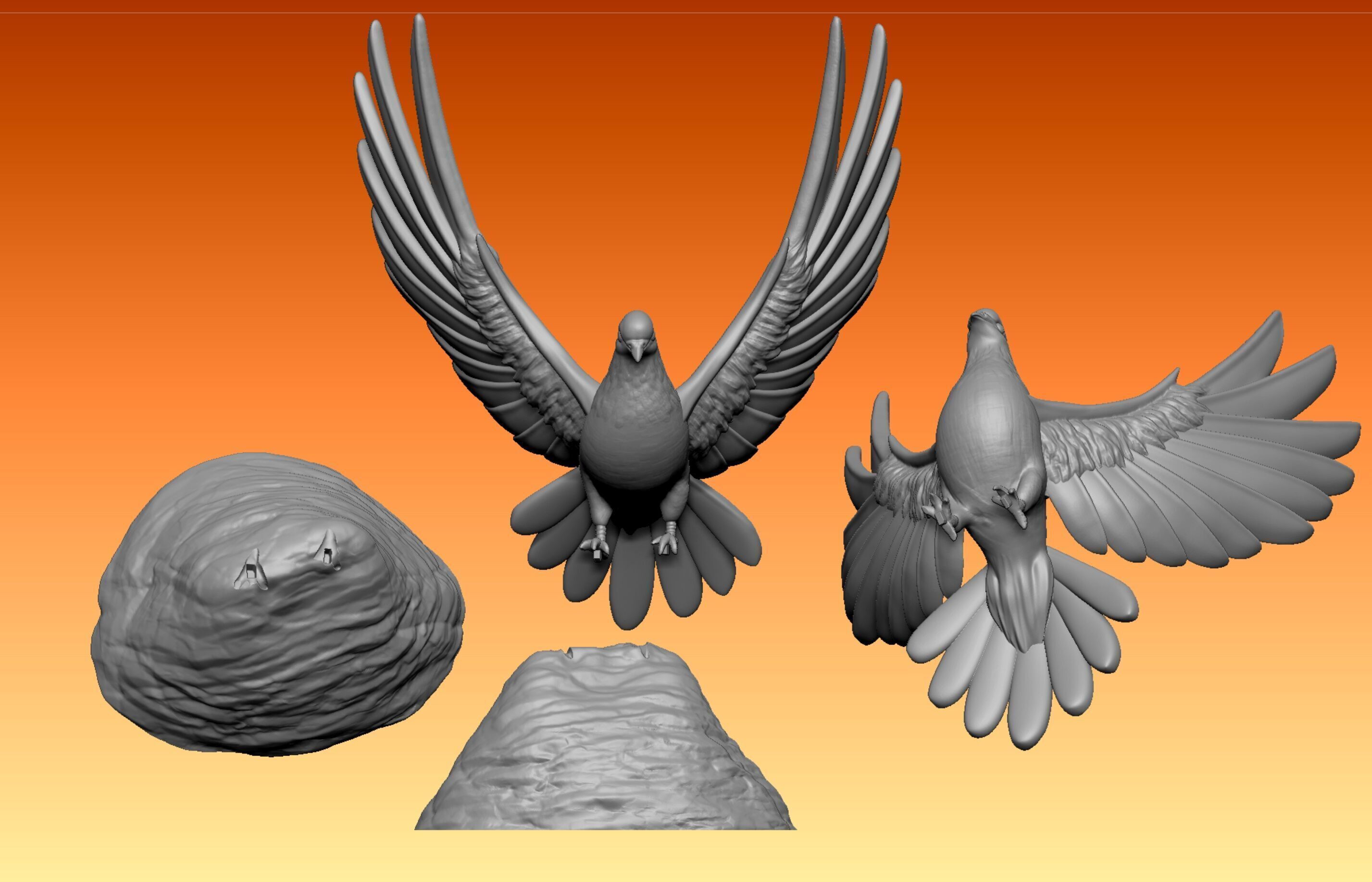 dove pigeon 3D print model_5