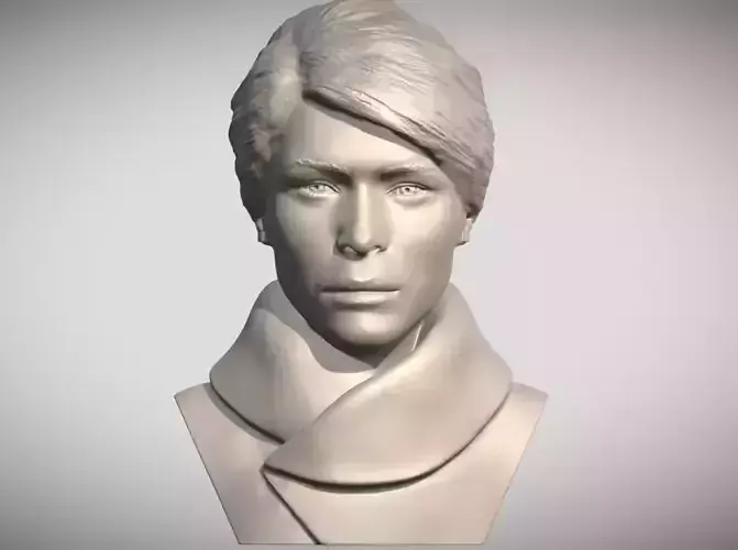 Melania Trump bust  3D print model