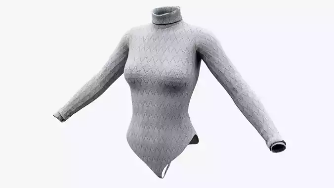 Turtleneck Sweater Body