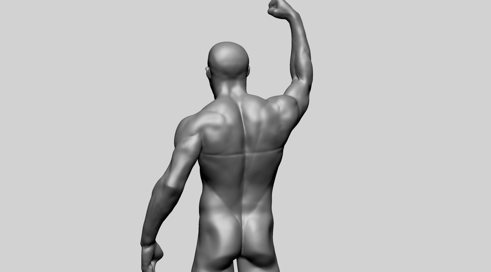 Human Anatomy - Male C 3D model_11