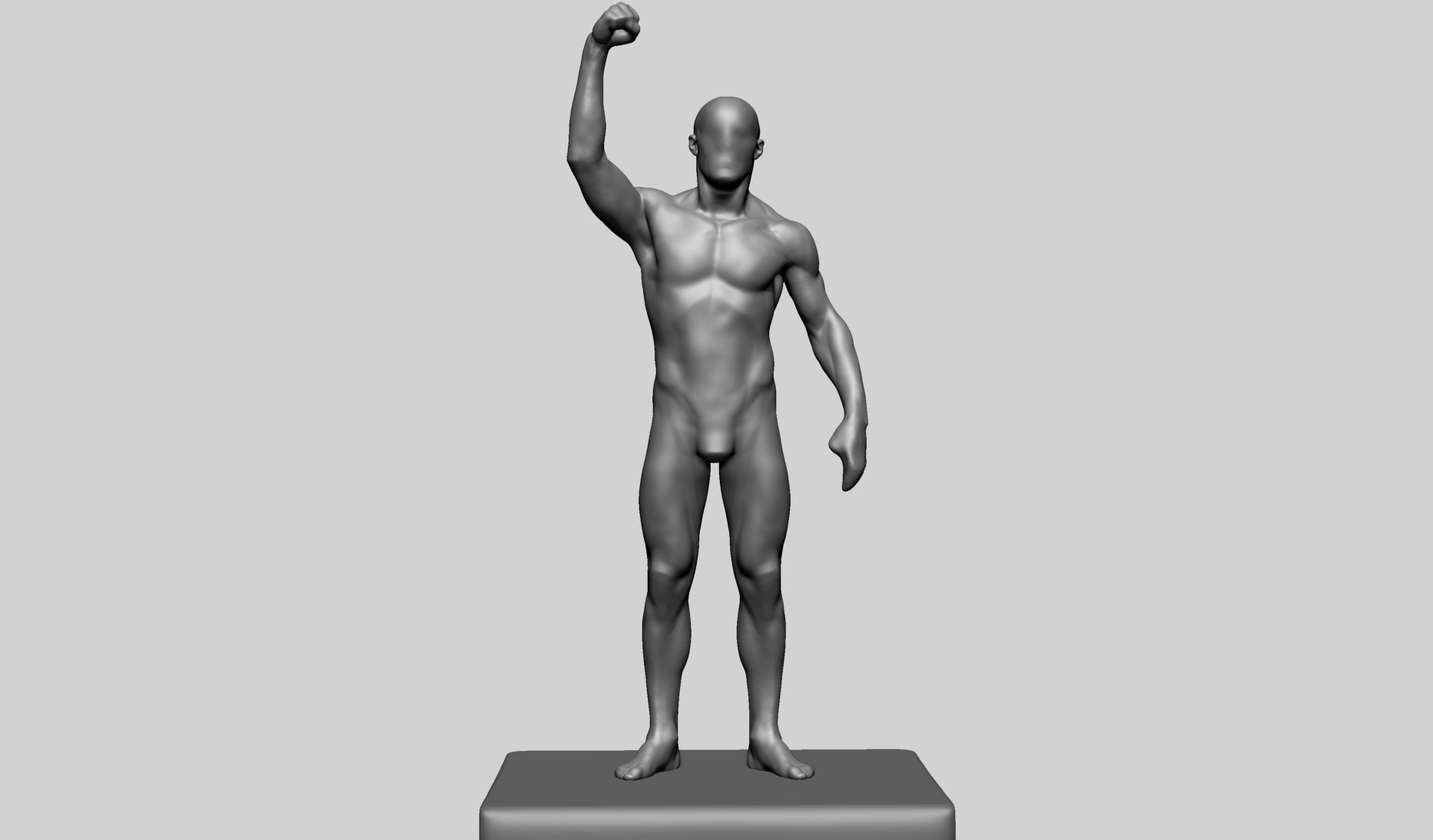 Human Anatomy - Male C 3D model_1