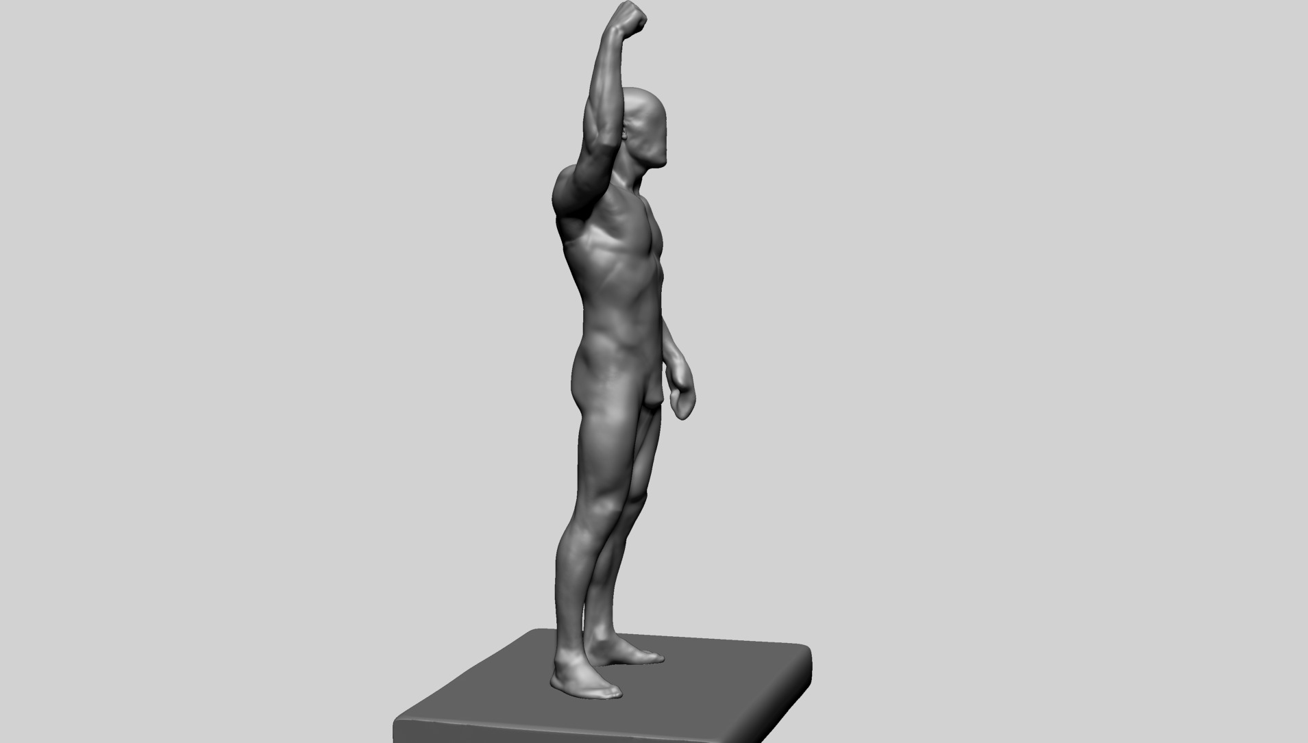 Human Anatomy - Male C 3D model_4