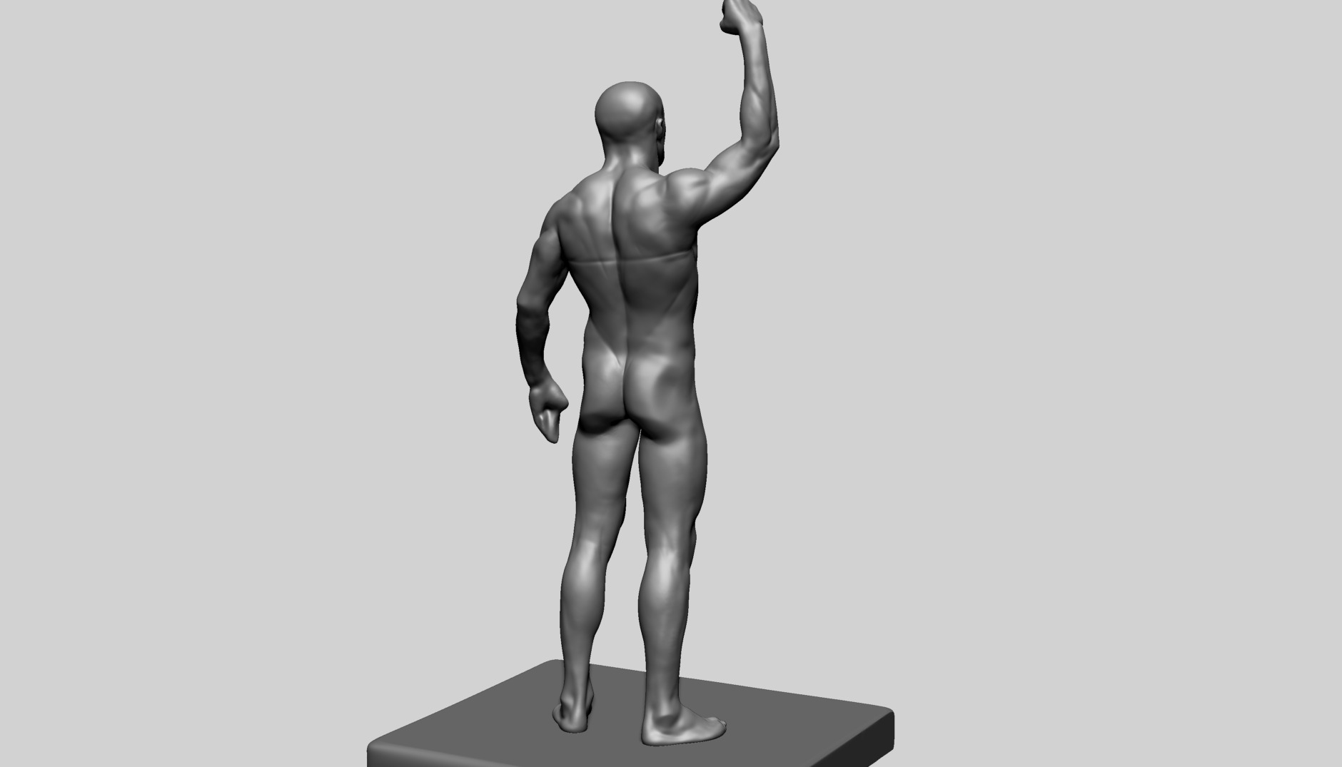 Human Anatomy - Male C 3D model_3